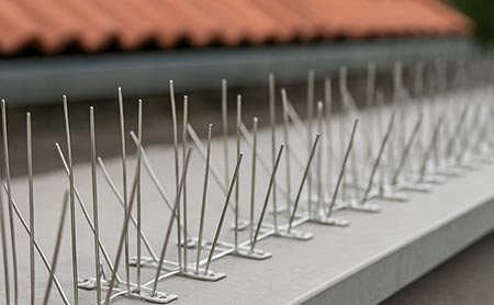 Taubenspikes & Spanndrahtsysteme